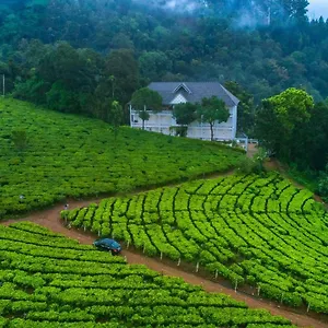 https://tea-harvester-munnar.kerala-hotels.net